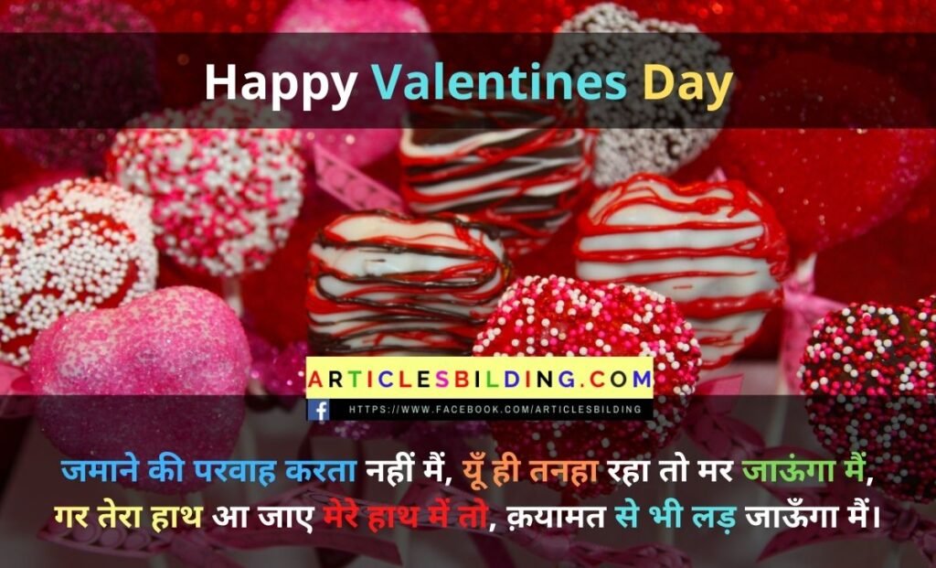 Happy valentine day shayari in hindi for wife