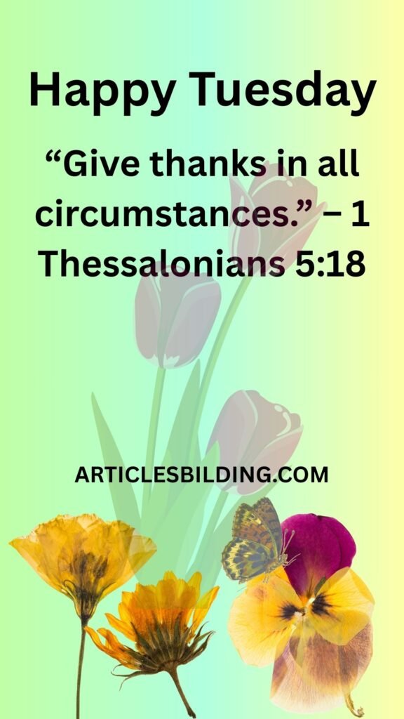 Good Morning Tuesday Blessings Gratitude and Thanksgiving