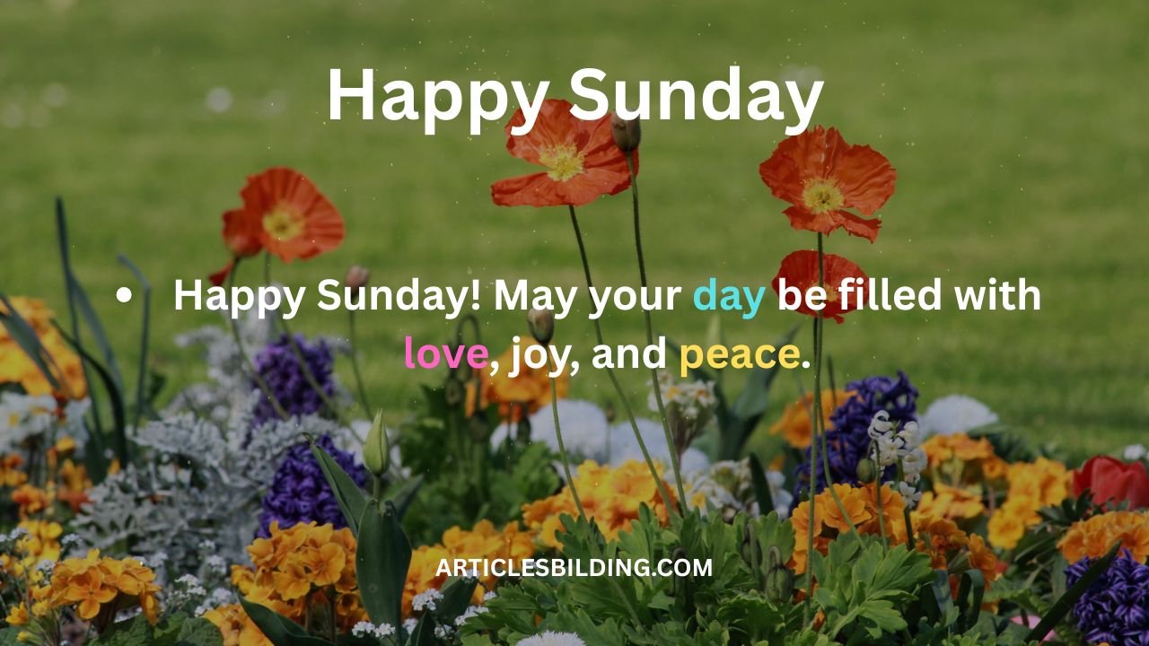 Happy Sunday Blessings