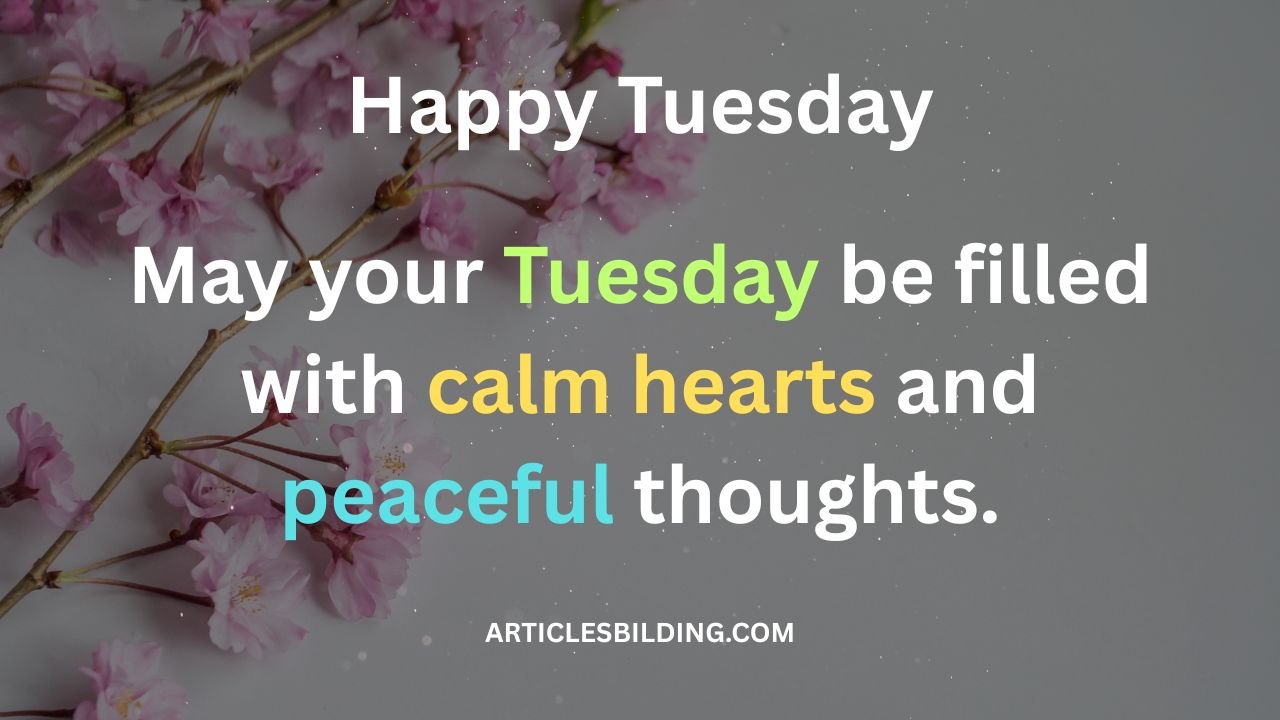 Happy Tuesday Blessings